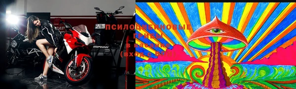 гидра Алексин