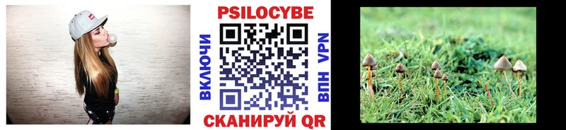 Галлюциногенные грибы Magic Shrooms цены наркотик Минусинск
