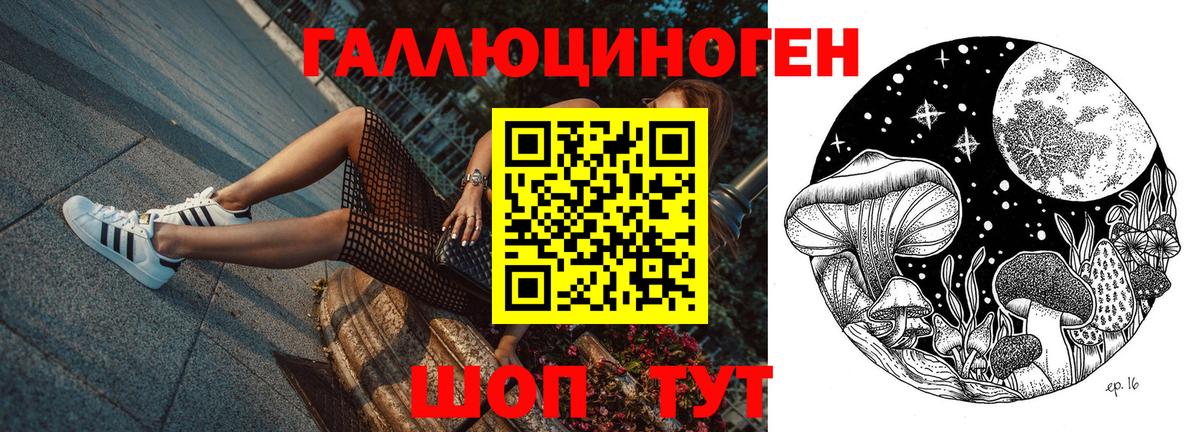 Псилоцибиновые грибы GOLDEN TEACHER  Псилоцибиновые грибы MAGIC MUSHROOMS  Вход с VPN  Минусинск 